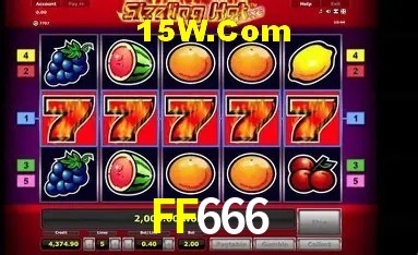 Bonus Features FF666